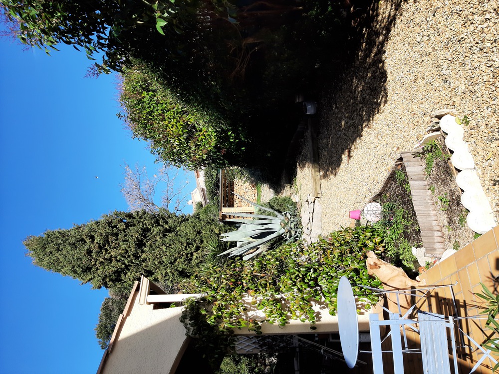 L'arrière de la maison: de la terrasse à l'abri bûches