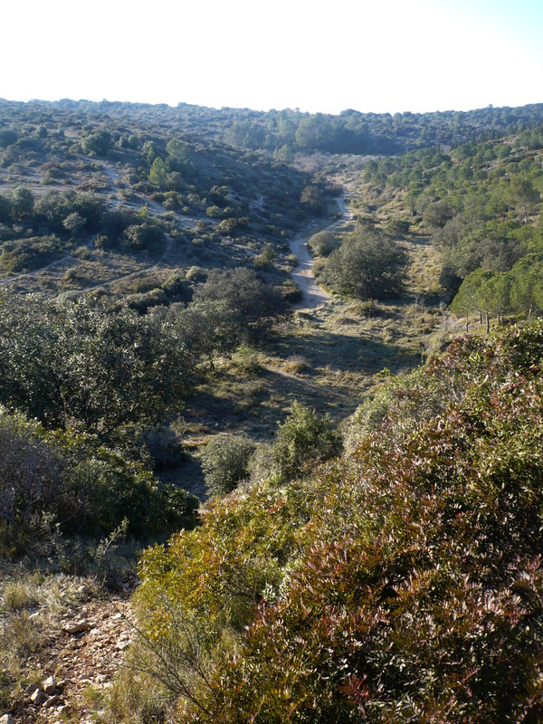 Vue sur le garrigue depuis le parcours santé accessible à pied (500 m de la maison)