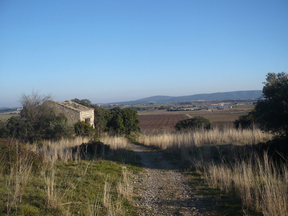 Vue sur la garrigue depuis le chemin accessible à pied depuis la maison (500 m)