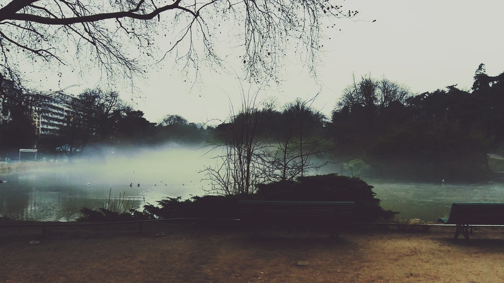 Le parc Montsouris à 10 min à pieds (parfait pour une ballade ou un pique-nique)