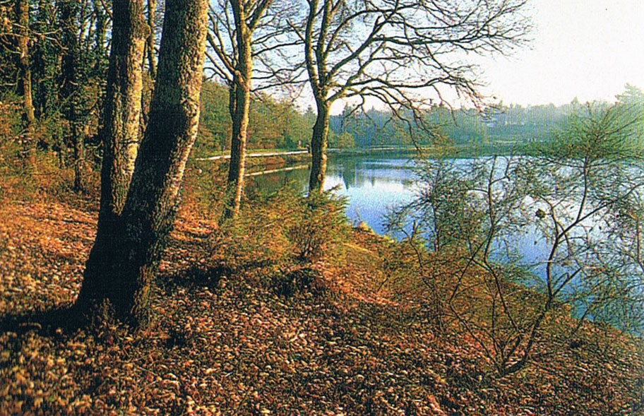 Le Lac de Savenay (ballade, vallée des Korrigans)