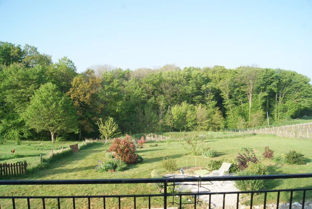 Jardin vu du balcon