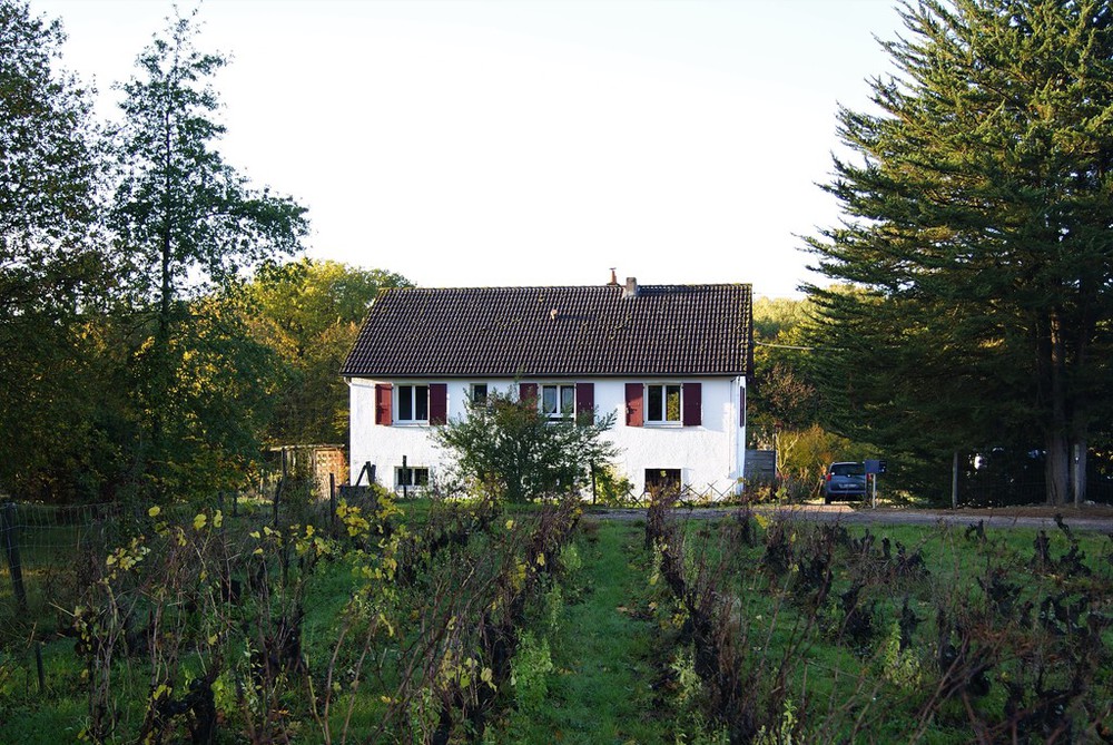 Maison dans les vignes