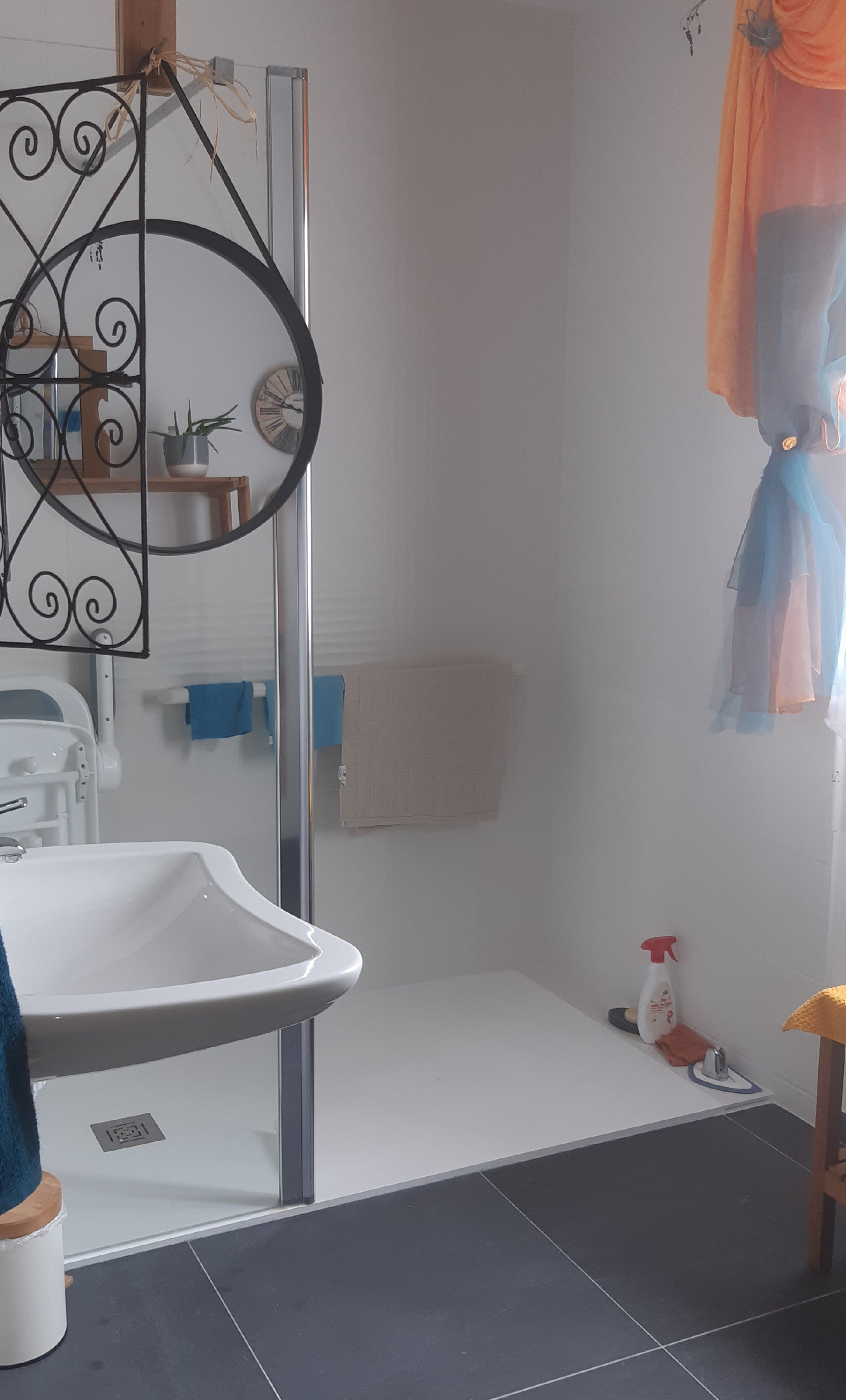 douche rdc avec siège mobile barres de soutien