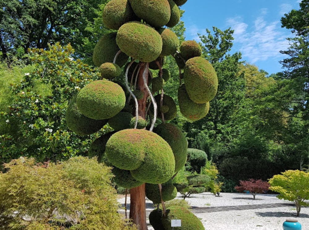 Orléans, La Source. Parc floral 35 ha