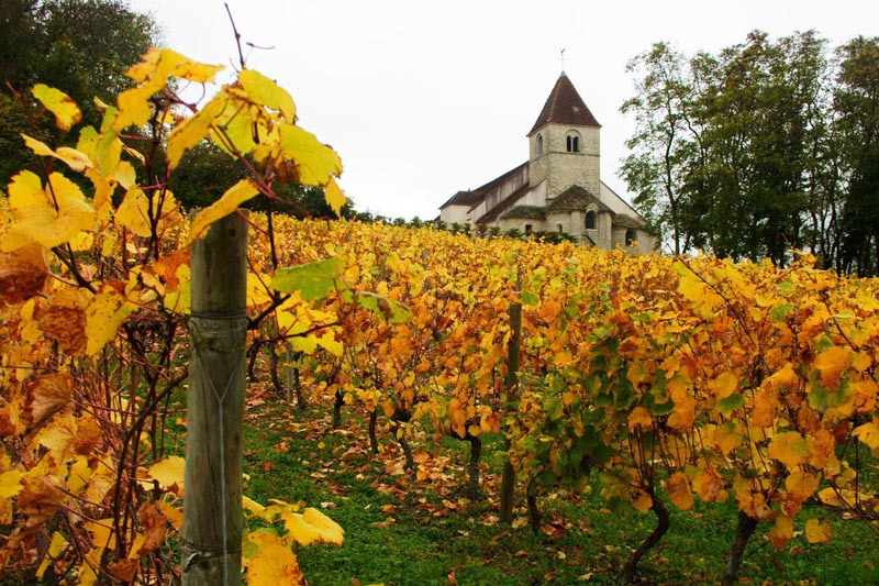 Vignobles touraine