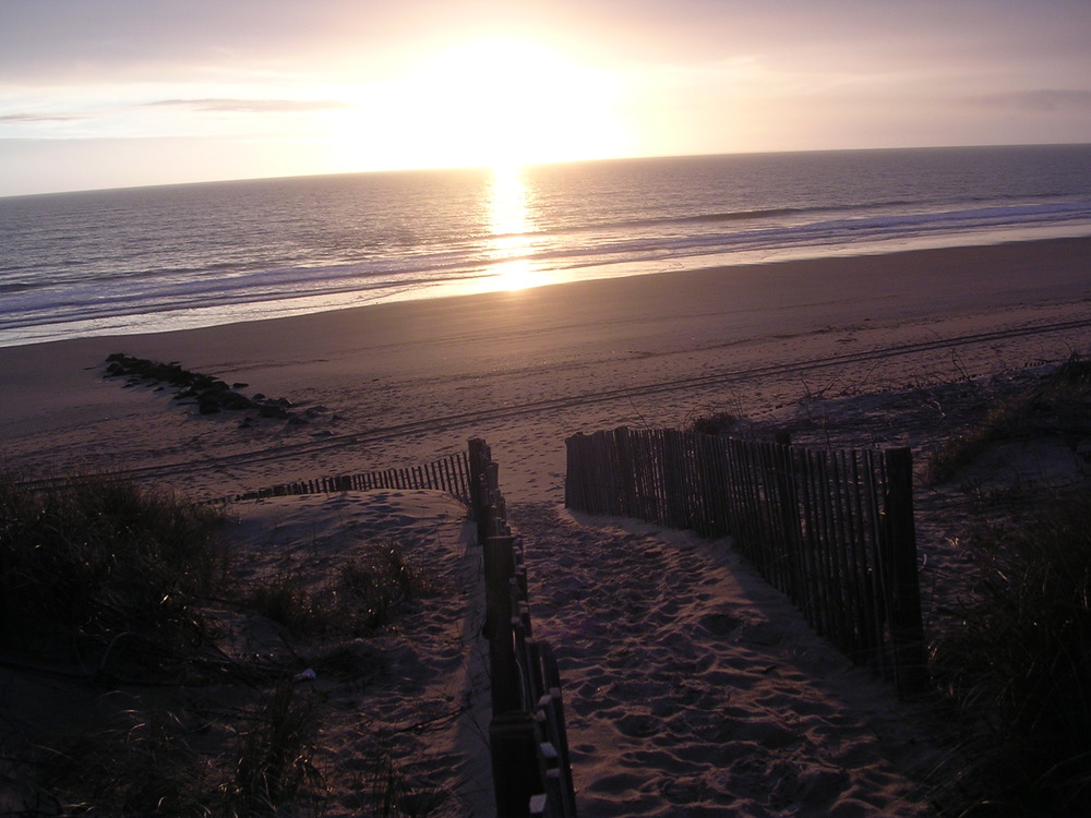 plage et dune