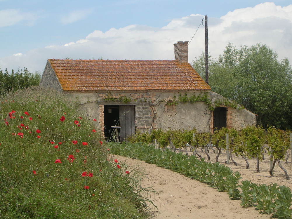 promenade aux alentours