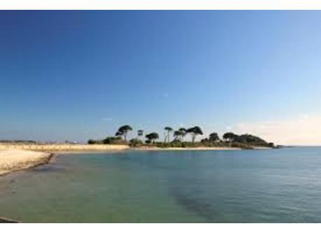 Plage Ste Anne à 4km