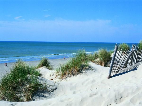 Plages de la Somme, Marquenterre