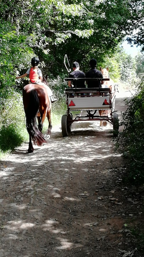 chemin à partir de la maison