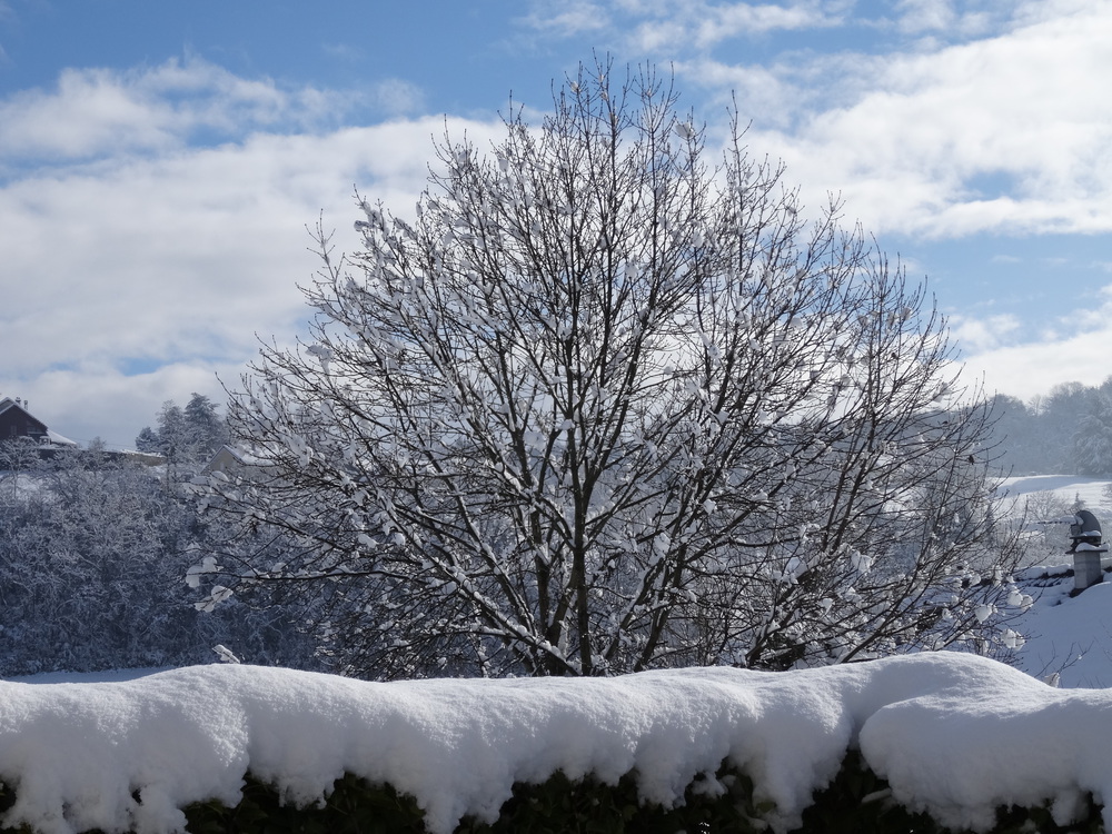 Paysage d'hiver vu de la terrasse