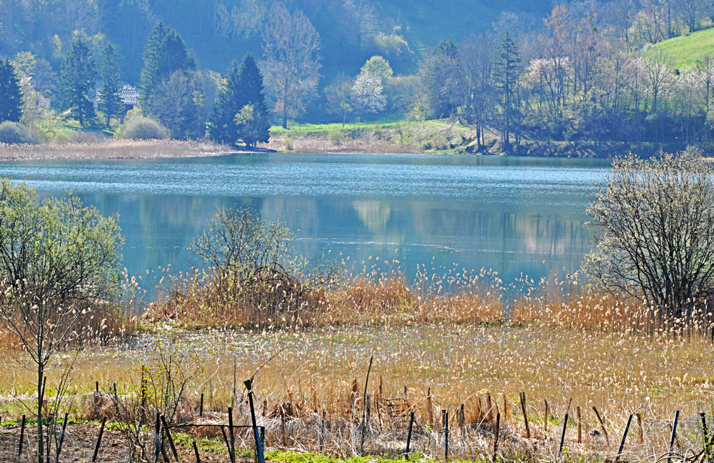 Le Lac de la Thuile , petit lac encore sauvage ,  dans les proches environs