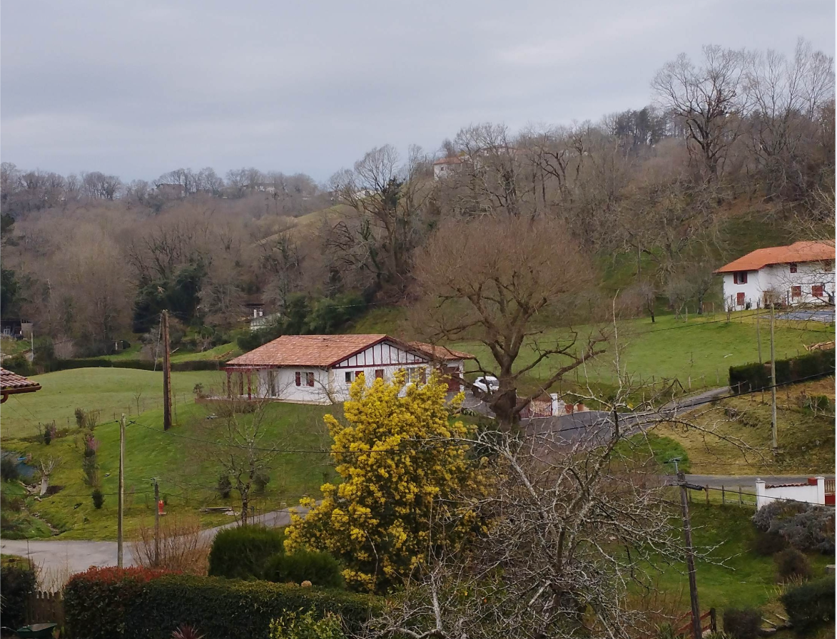 La maison avec terrasse et jardin