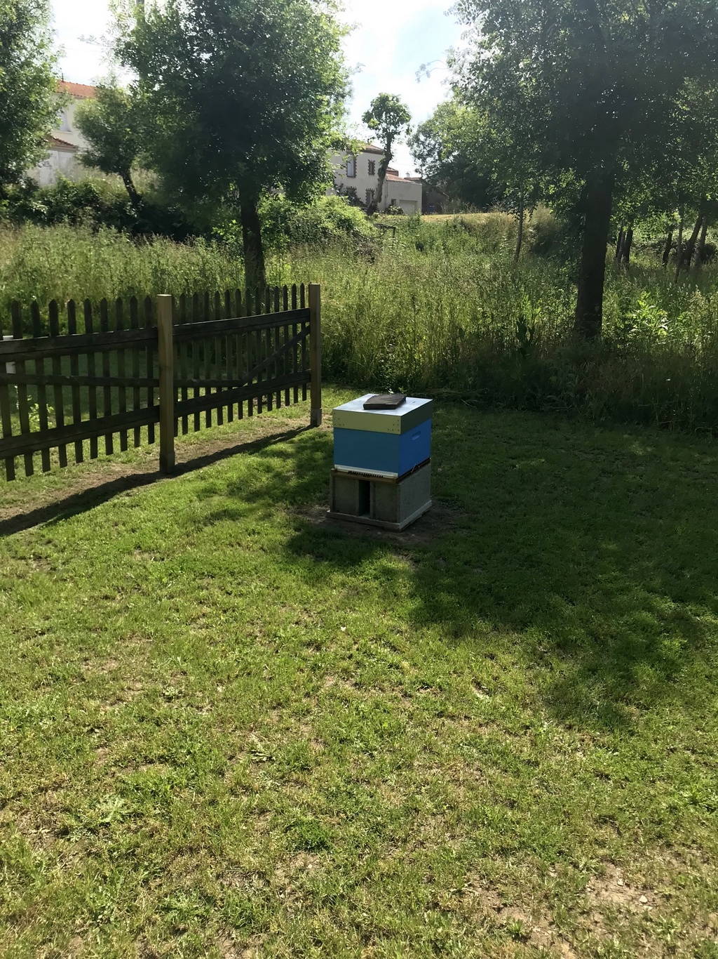 la ruche dans le 2è jardin