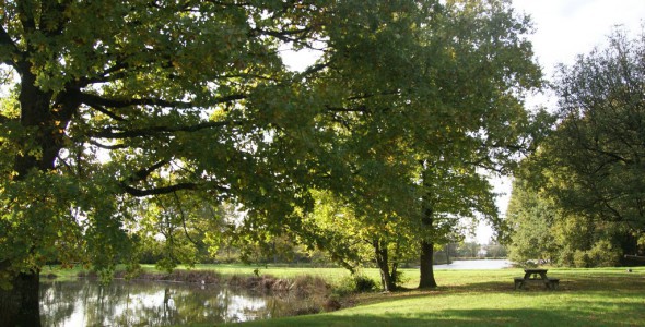 le plan d'eau de Montbert : pique nique , ballades, pêches