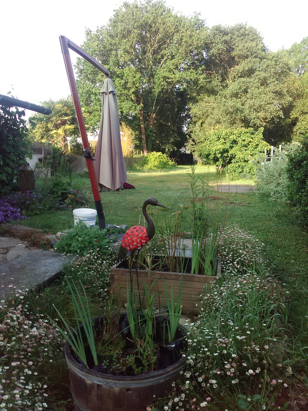 le jardin