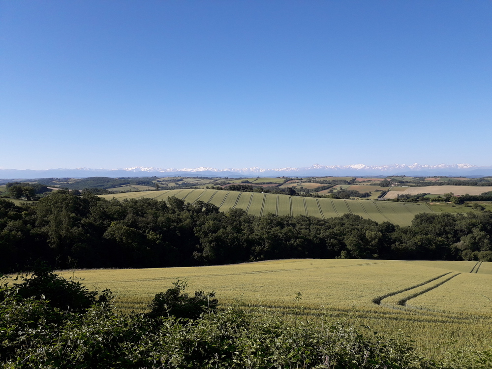 Les environs de Rieux