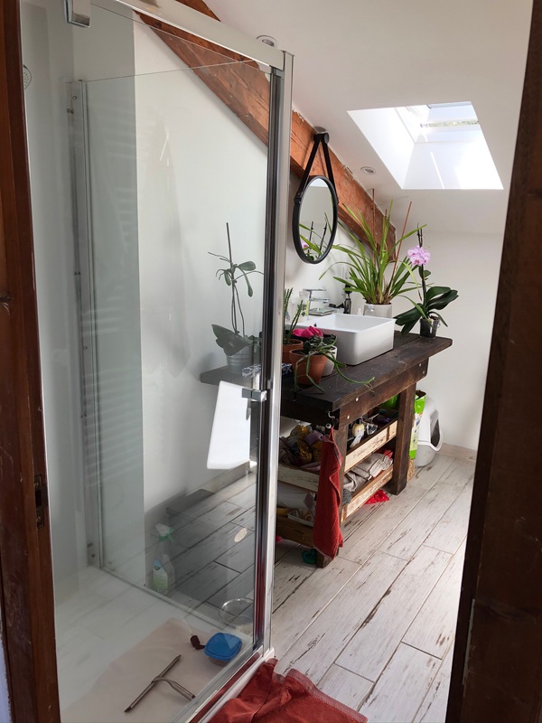 La salle de douche ( un WC également dans le coin)