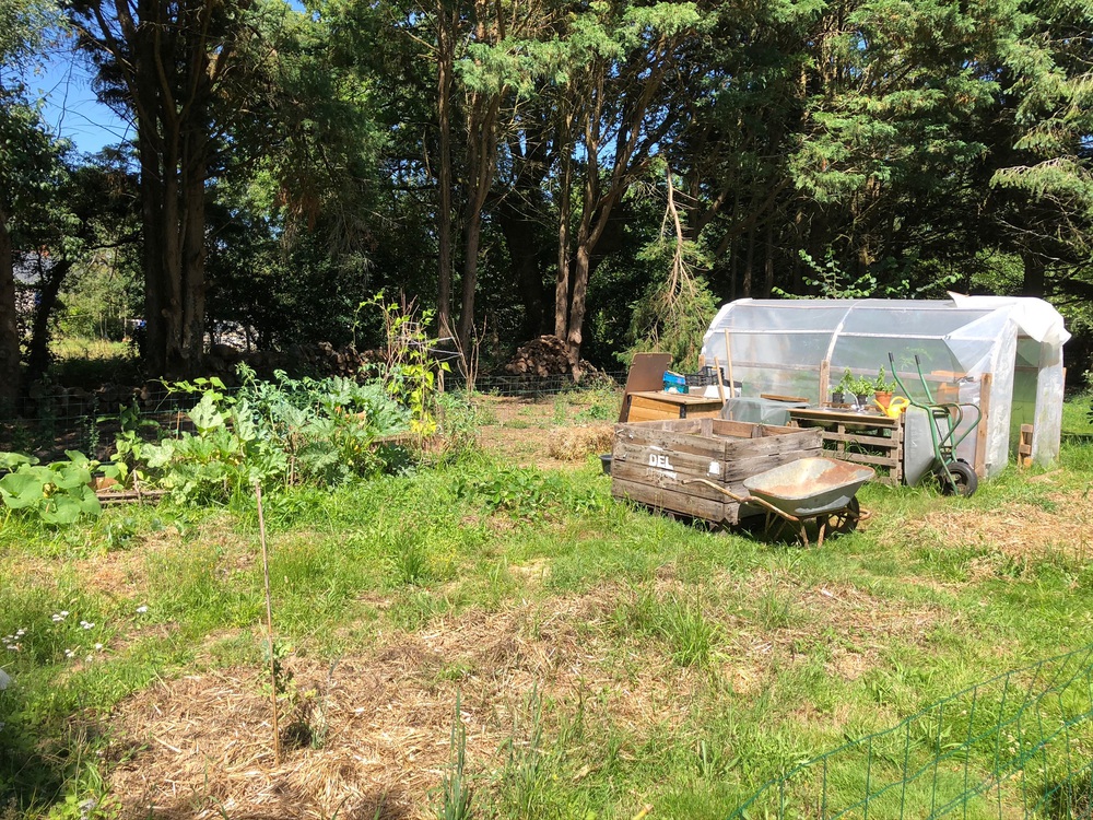 Notre potager en permaculture