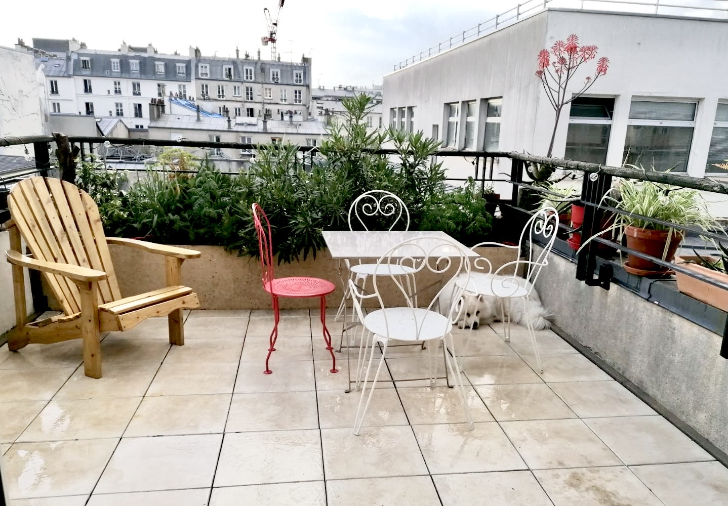 terrasse au calme pour petits dejeuner et soirees d'ete