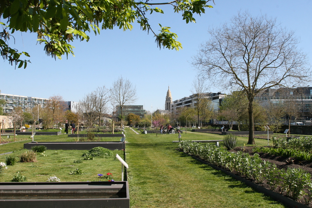 le jardin botanique au bout de la rue