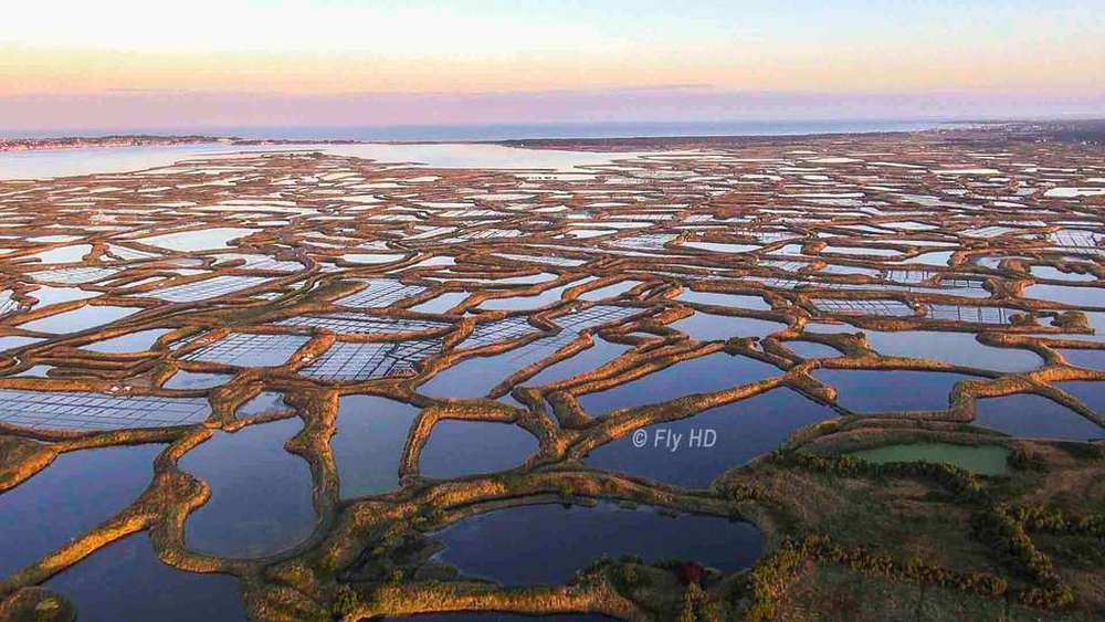 Les marais salants