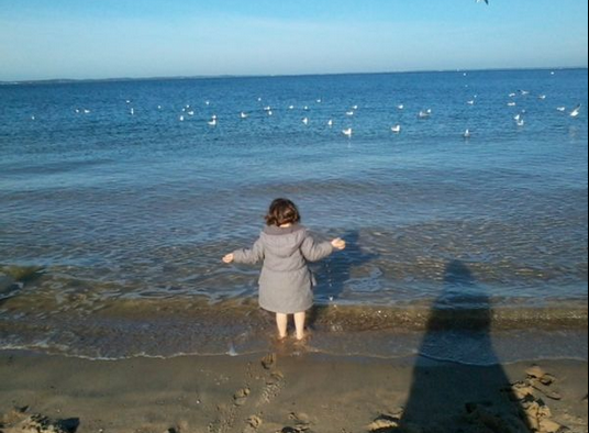 Le bassin d'Arcachon
