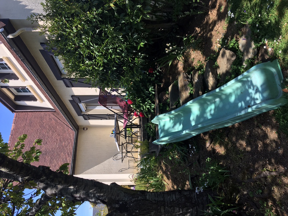 Escalier accès terrasse (provisoire)