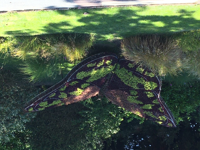 Jardin des Plantes de Caen