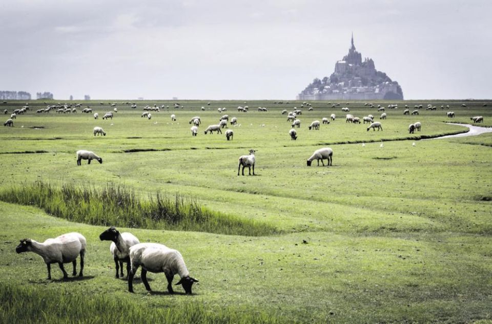 Mont Saint Michel. 1h30