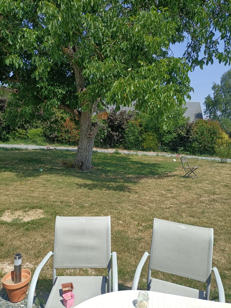 Jardin
