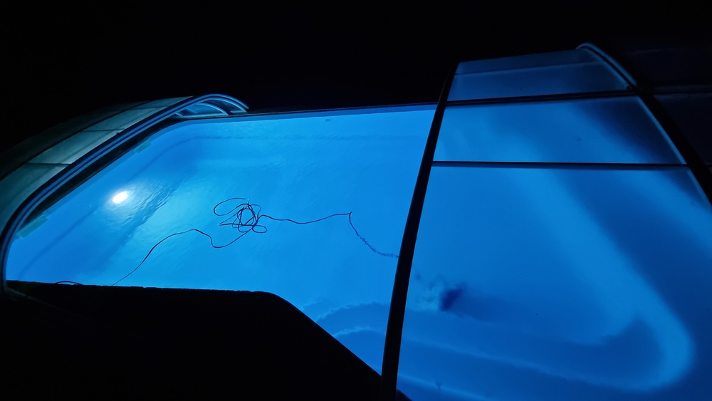 La piscine la nuit