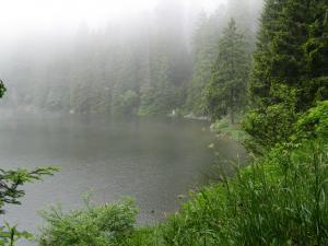 de nombreux lacs dans les Vosges, à 40 ou 50 mn de voiture. Très sympa pour s'y baigner en été