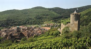Kaysersberg, le vignoble et le château médiéval