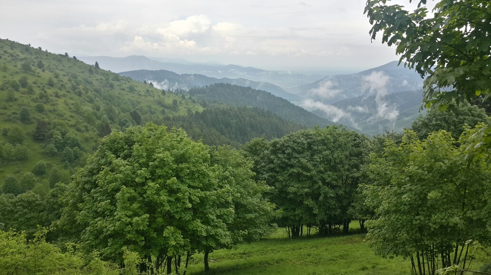 la si belle nature sauvage des Vosges, sans danger (altitude max = 1 400 m) et si proche !