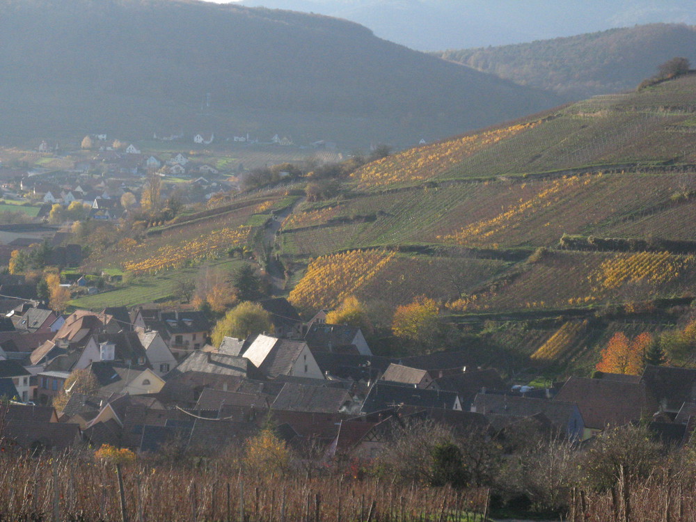 Les villages de la route des vins sont magnifiques