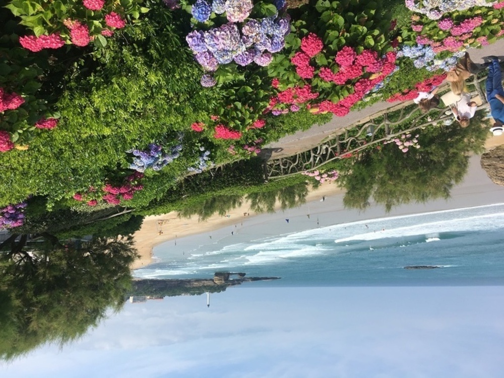 La grande plage de Biarritz vue de la colline aux hortensias