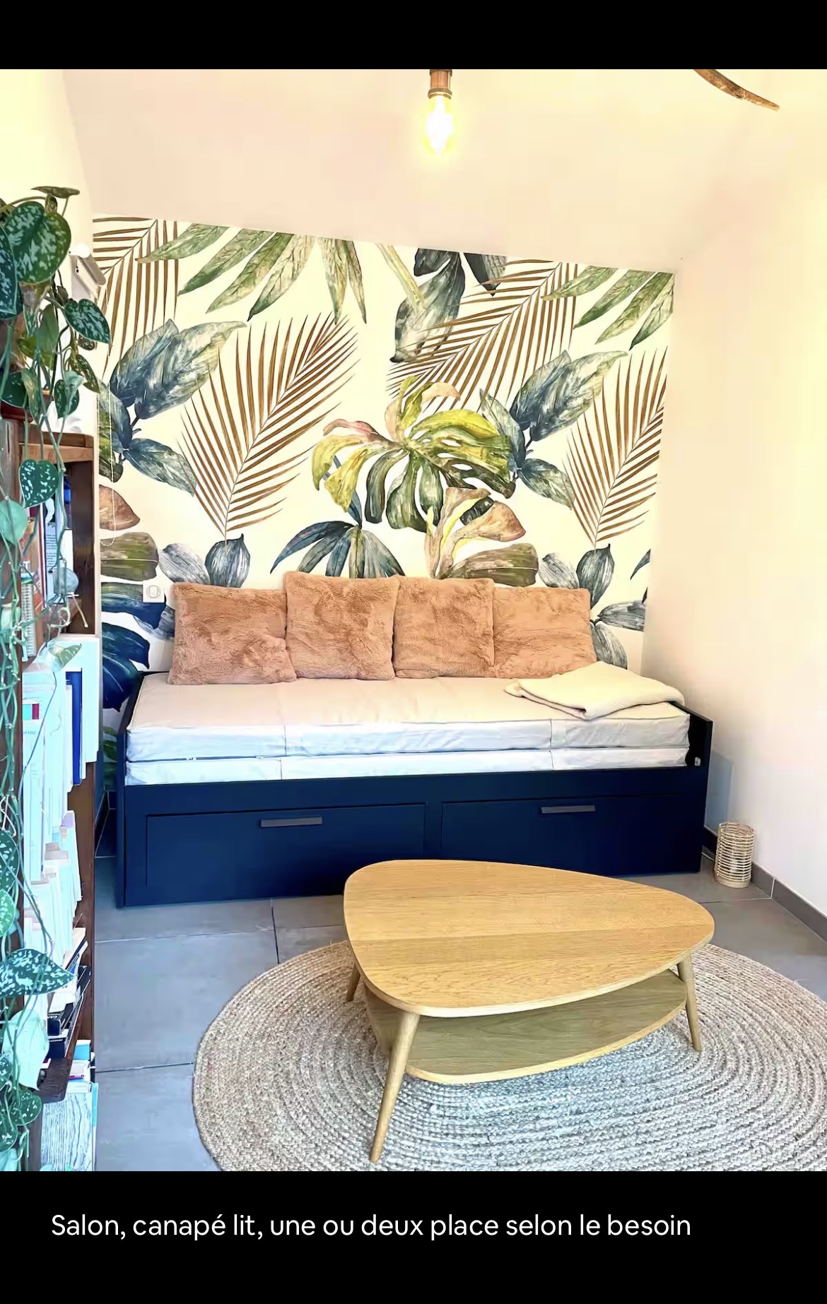 l'espace lit du studio, canapé convertible 2 places