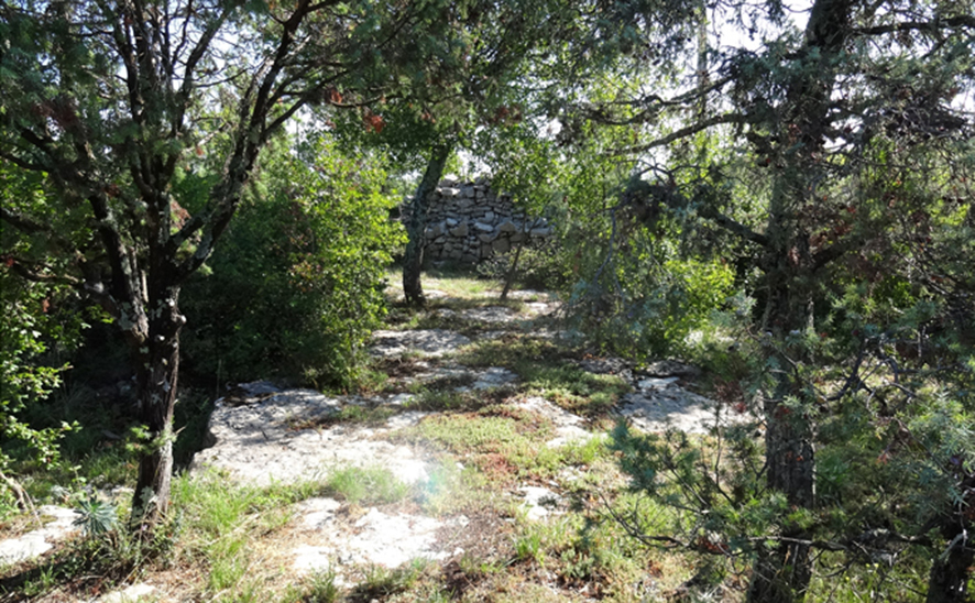 Une vue partielle du terrain arboré