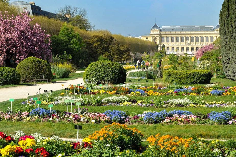 Jardin des plantes et Museum d'histoire naturelle