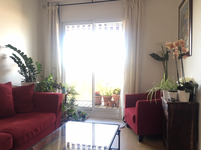 Salon donnant sur le jardin