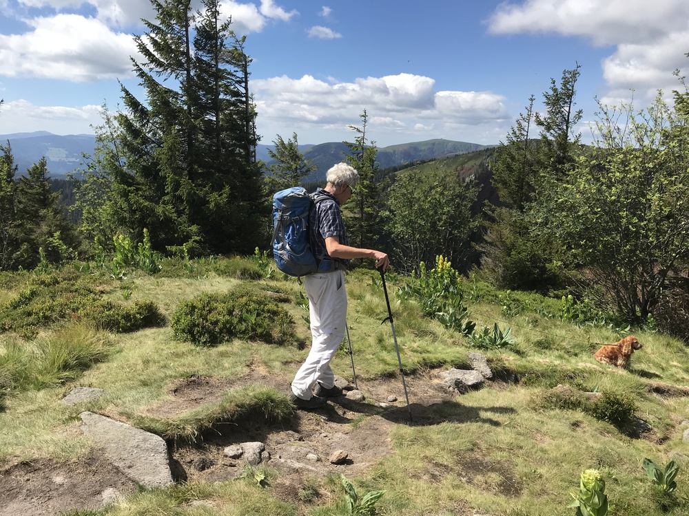 Sur les crêtes vosgiennes