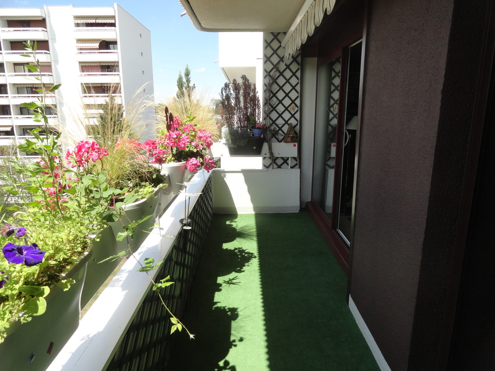 vue du balcon vers le nord