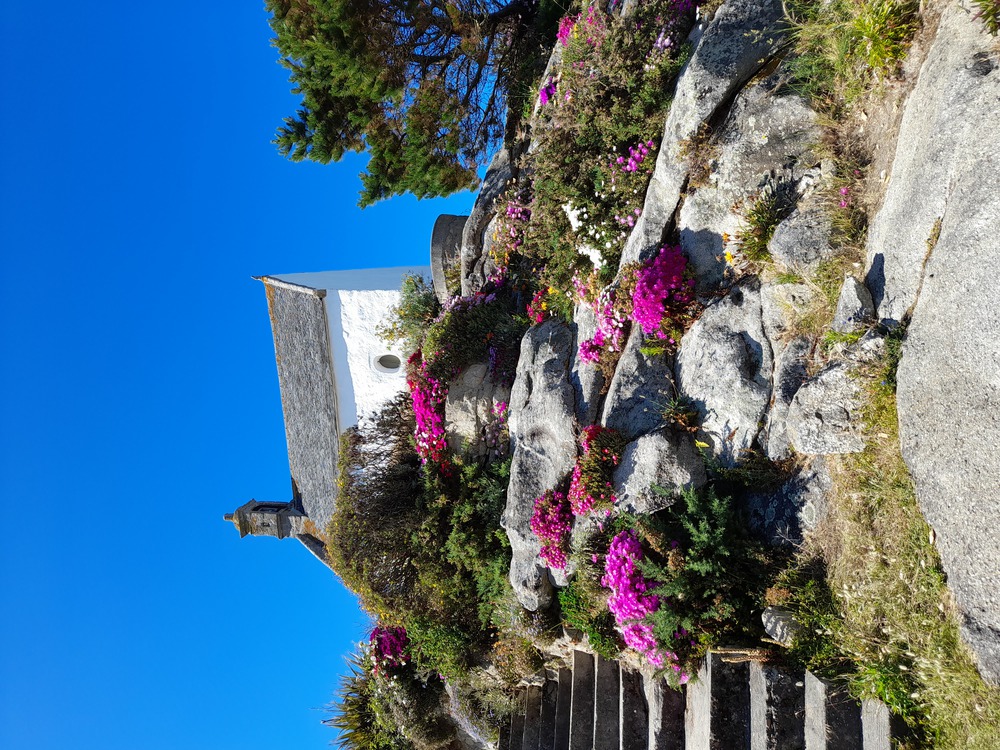 Chapelle Ste Barbe Roscoff en mai