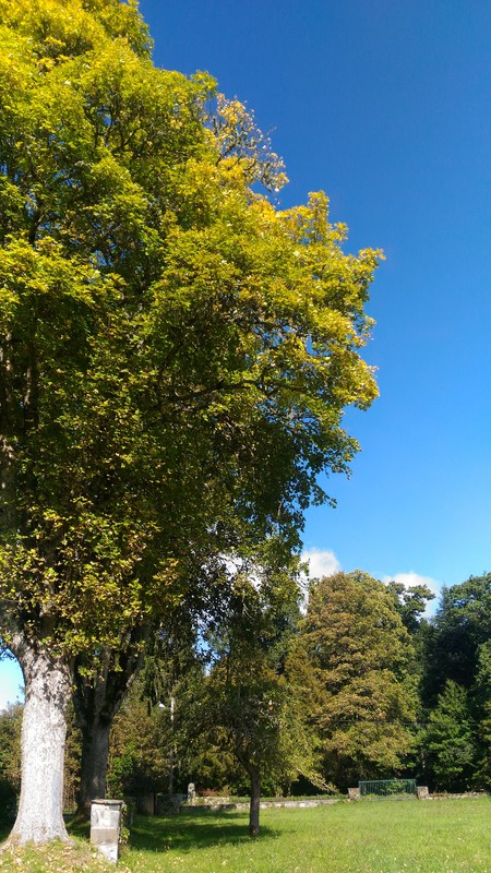 Photo du jardin