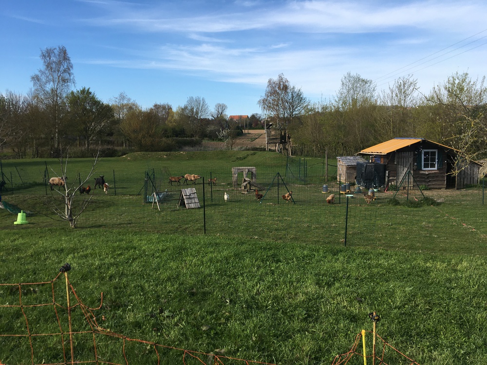 Le jardin des animaux