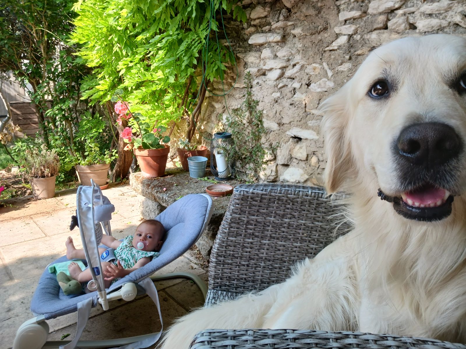 Une partie de la famille