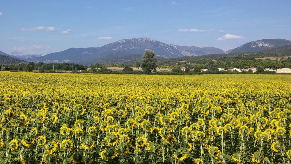 Vallée de l'Asse