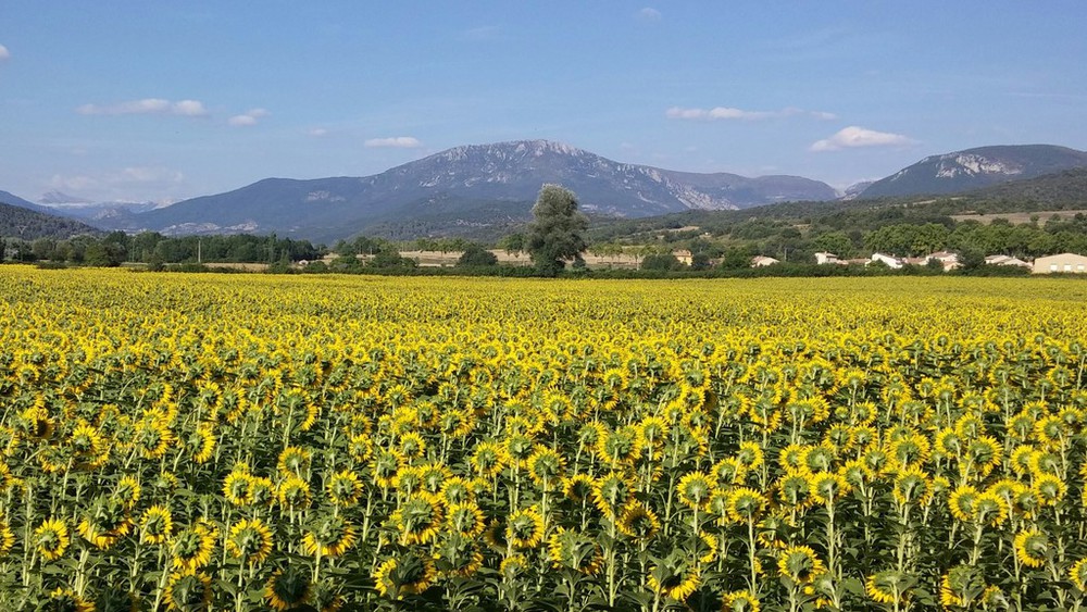 Vallée de l'Asse